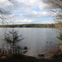 Весна 2025. Май :: Наталья Герасимова