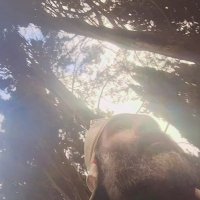 13  ОПЕН (772) :: OPEN WAYS ALL