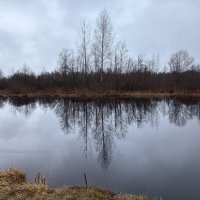 До сих пор осень… :: Ольга Савельева 