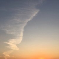 Облачная птица :: Ольга Савельева 