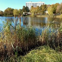 Октябрь :: Veera V Октябрь :: Veera V