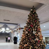 В концертном зале Октябрьский. :: Ольга 