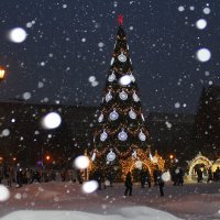 Главная Ёлка города. Снегопад :: Татьяна Лютаева