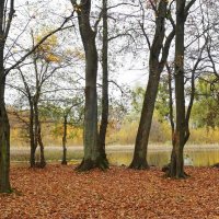 Ашманн парк, Калининград :: Рита Симонова