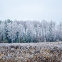 ______ :: Галина Ложечникова