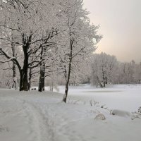 Скоро будет... :: ZNatasha -