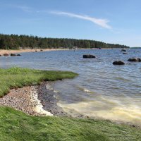 Финский залив :: Александр Ильчевский 