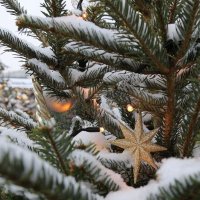 Скоро-скоро... :: ZNatasha -