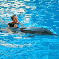 Покатушки на дельфине :: Геннадий Валеев