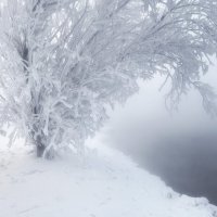 В морозном тумане :: Марина Фомина.