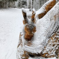 замел снежок  зайчика :: Владимир 