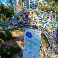 Адлер... ноябрь... :: Нина Бутко