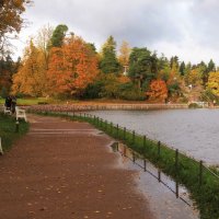 Монрепо осенью :: Магомед .