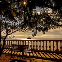 Картина "Маслом" :: Сергей Воротников Картина "Маслом" :: Сергей Воротников