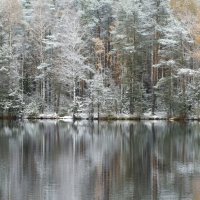 Заснежило.............. :: Юрий Цыплятников