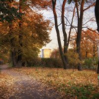 Осень в ботаническом саду. :: Лилия *