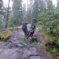 Рускеала. :: Ирина ***