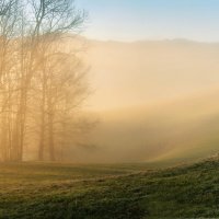 misty winter morning :: Elena Wymann