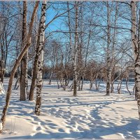 Морозный денёк... :: Aquarius - Сергей
