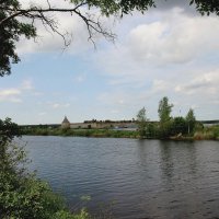 Лето 2025. Июнь :: Наталья Герасимова