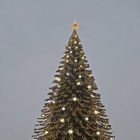 Главная новогодняя ёлка города. :: Валентина Нефёдова Главная новогодняя ёлка города. :: Валентина Нефёдова