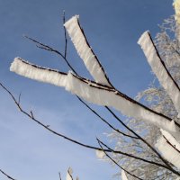 Кружева инея :: Ольга 