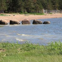 Финский залив :: Александр Ильчевский 