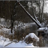 *** :: Aleksandr Gal