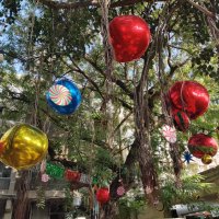 " :: Светлана Хращевская