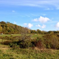 Поляна по дороге на Орлиные скалы :: Tata Wolf