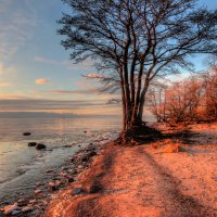 *** :: Сергей Григорьев