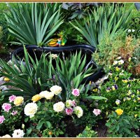 Уютный уголок :: Ната57 Наталья Мамедова