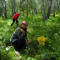 Грибная пора. :: nadyasilyuk Вознюк