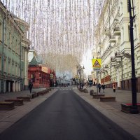 Новый манеж :: Лилия .