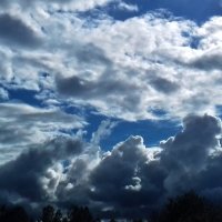 семейка :: Владимир семейка :: Владимир