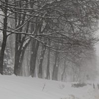 ...вот бы сейчас так!... :: Александр Герасенков