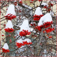 Рябинка в кокошничках . :: Мила Бовкун