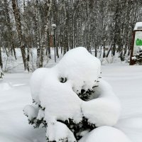 Поклон вам  ! :: Мила Бовкун