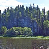 Морда спящего льва. :: ВикТор Быстров