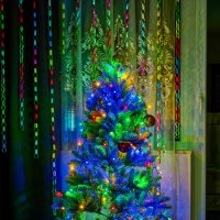 (°-°) :: Jakob Dick