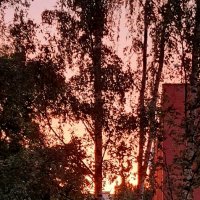 Лето 2025. Июль :: Наталья Герасимова