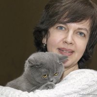 Фото с выставки кошек :: Светлана Ищенко