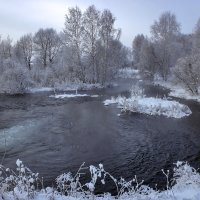 Там,где лебеди зимуют... :: елена беликова