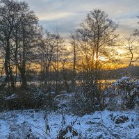 Новый день :: Сергей Цветков