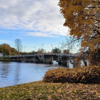 Вспоминая осени золотые дни! :: Ольга 