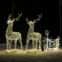 Зимние прогулки :: Ольга 