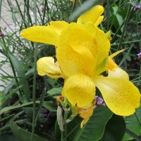 .......... :: Елена Шаламова .......... :: Елена Шаламова