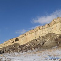 Природа Крыма :: Amazing Cosmea