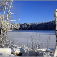 *** :: Aleksandr Gal