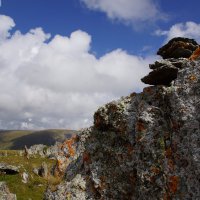 Алтайское :: Наталия Григорьева